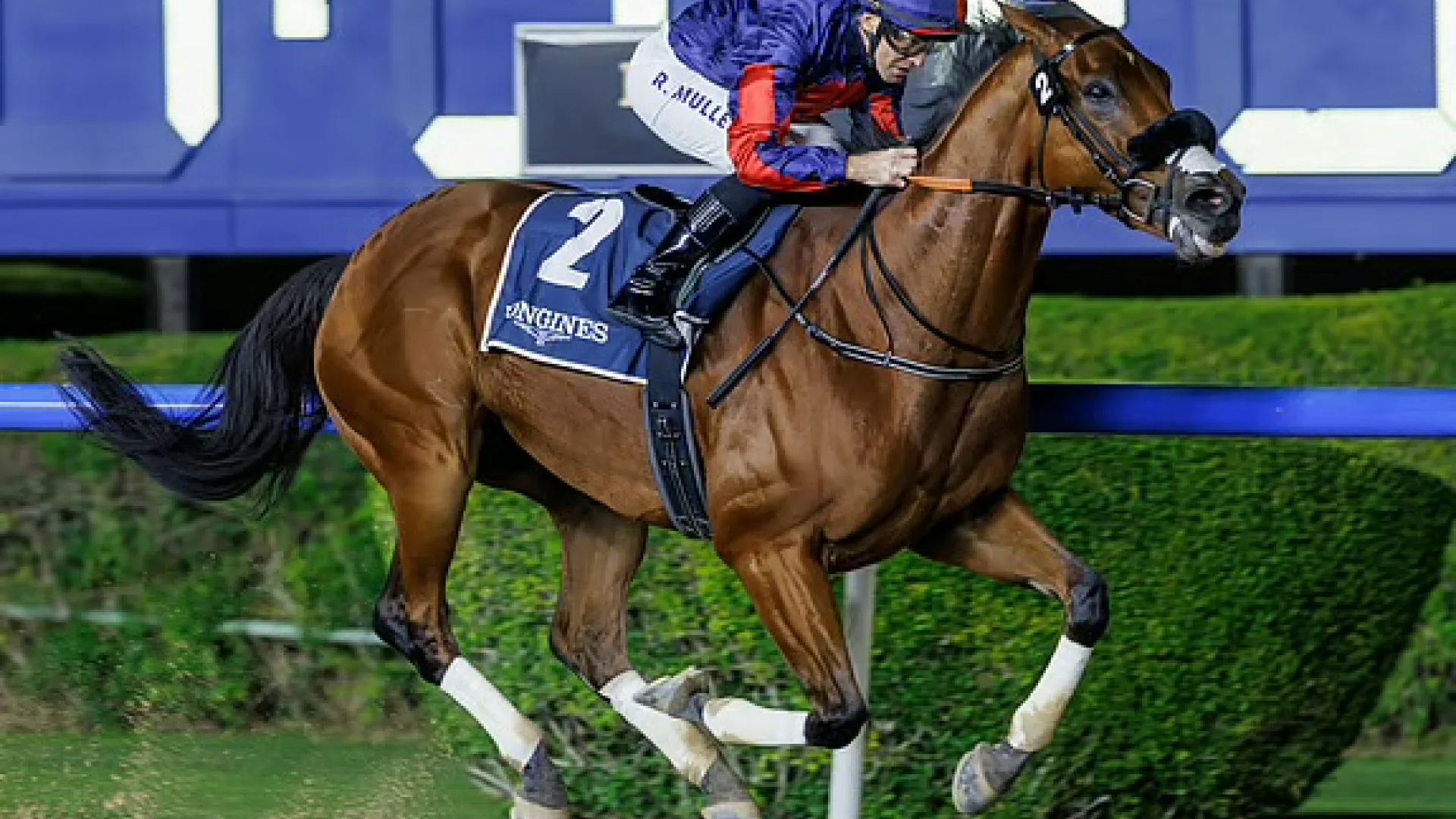Fashion Friday at Meydan: race night, runway energy | Die Geissens Real Estate | Luxus Immobilien mit Carmen und Robert Geiss – Die Geissens in Dubai